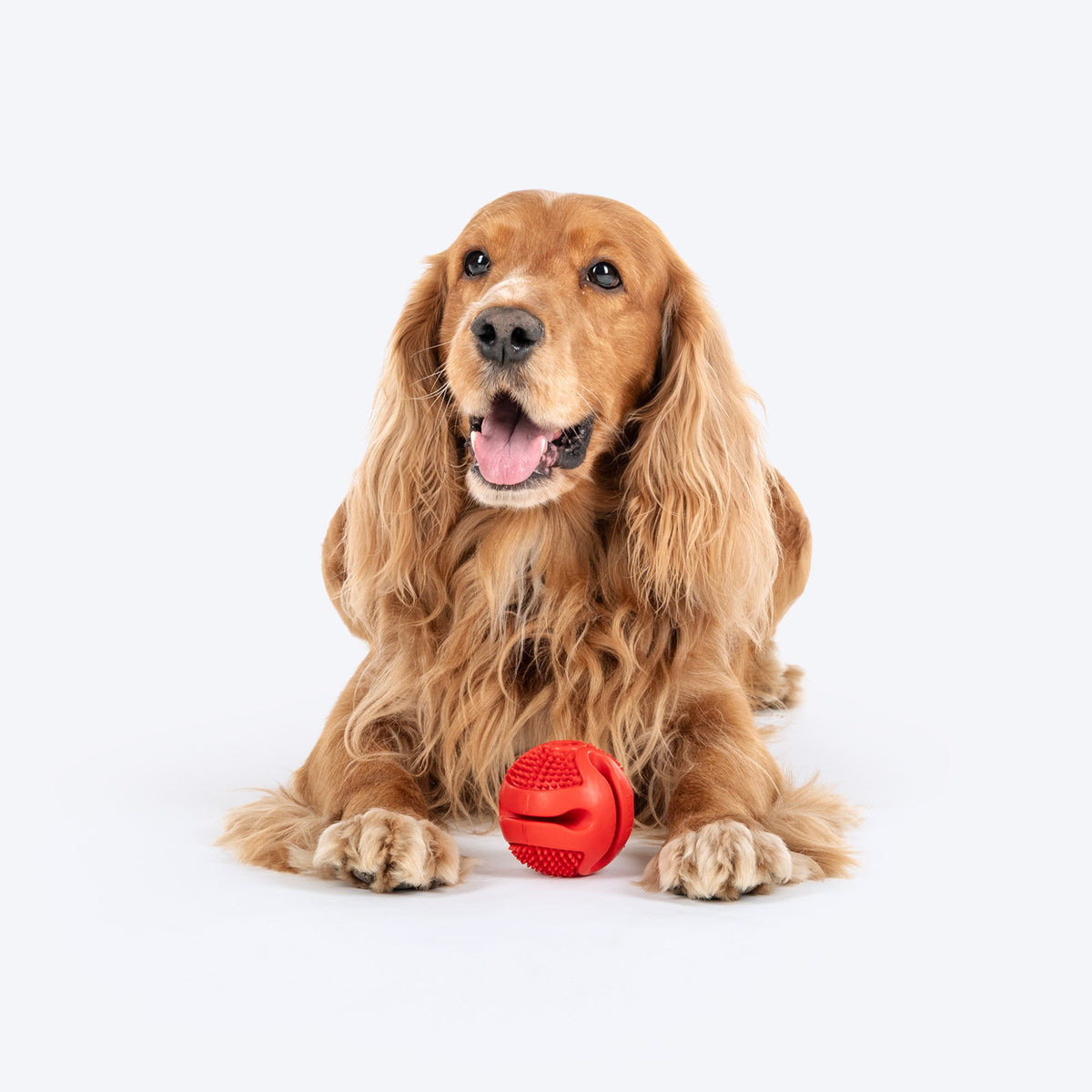 Dash Dog Spikey Snacker Chew Ball Dog Toy - Red - Heads Up For Tails