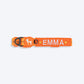 HUFT Xplorers Personalised Dog Collar - Orange - Heads Up For Tails