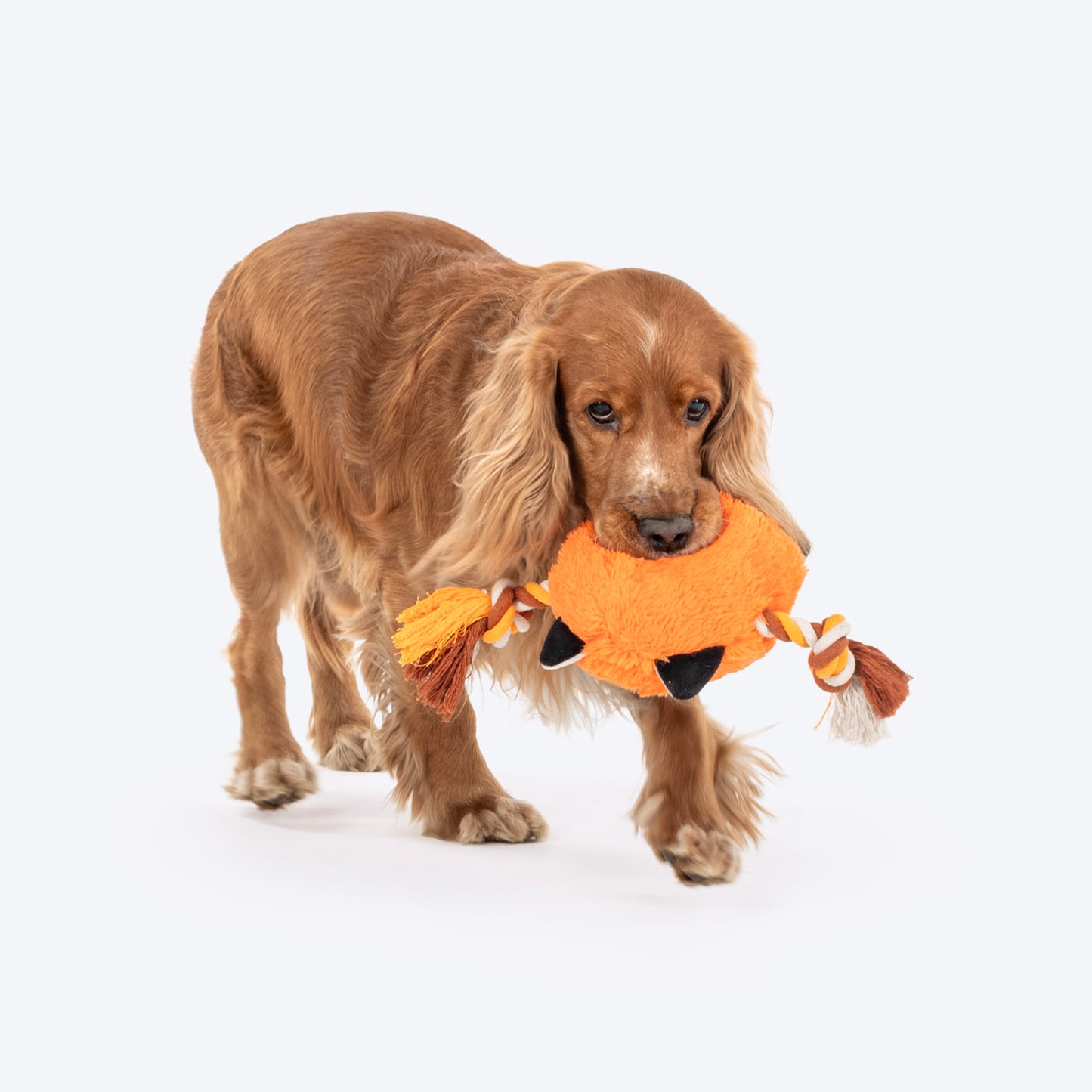 Dash Dog Clever Fox Squeaky Plush Toy For Dog - Orange - Heads Up For Tails