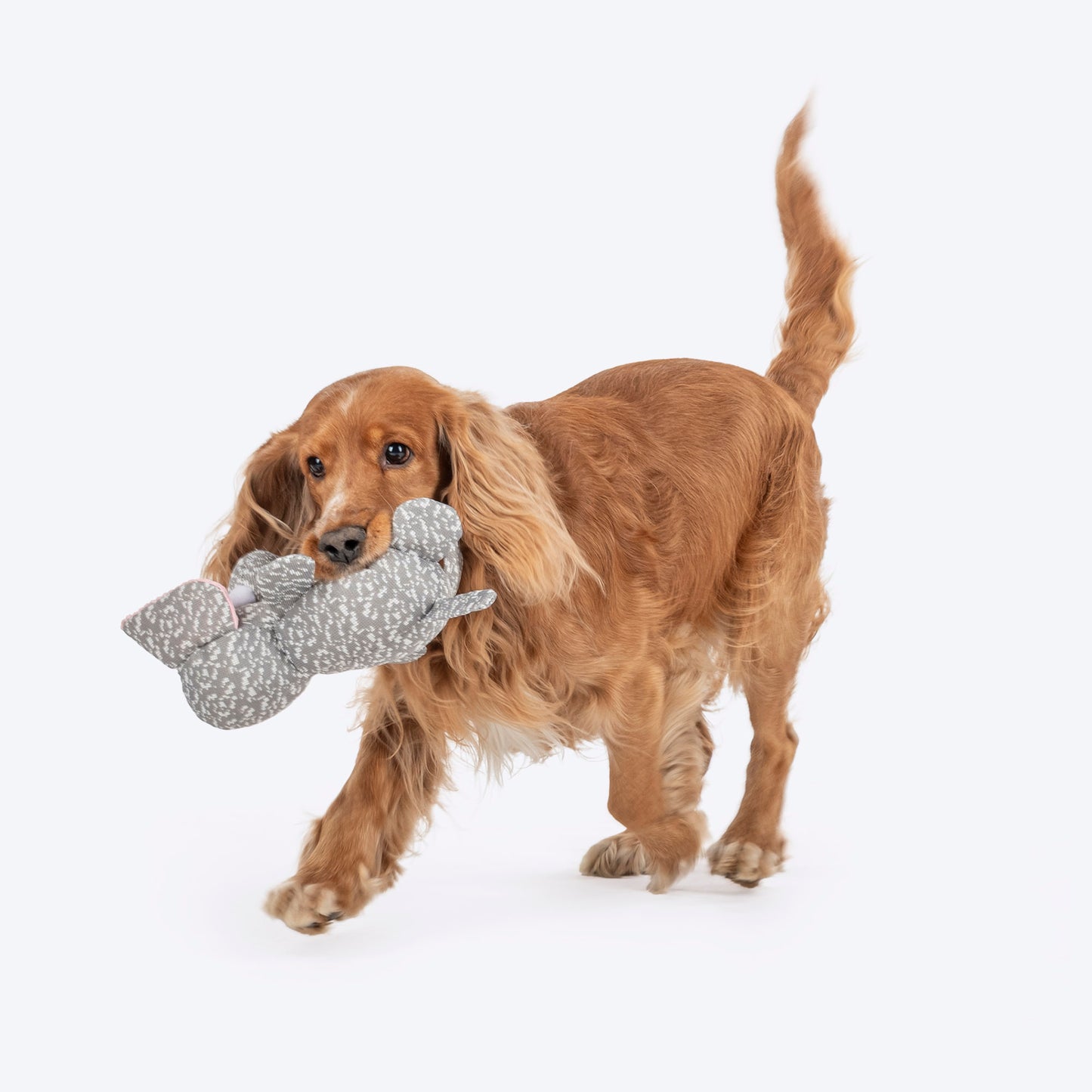 HUFT Squeaky Snugglephant Plush Toy For Dog - Grey - Heads Up For Tails