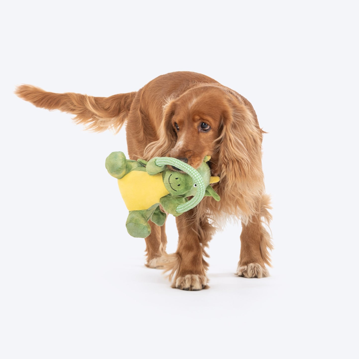 Dash Dog Dino Squeaky-Saurus Plush Toy For Dog - Green - Heads Up For Tails