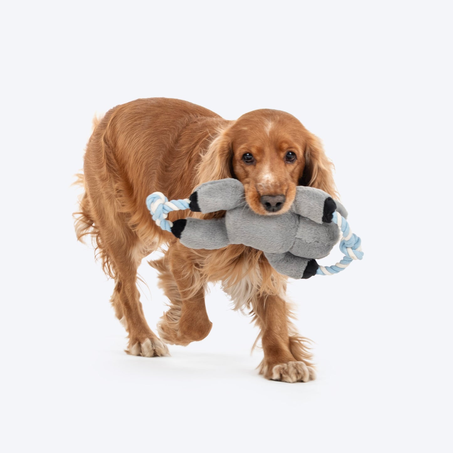 Dash Dog Kuddly Koala Squeaky Plush Toy For Dog - Grey - Heads Up For Tails