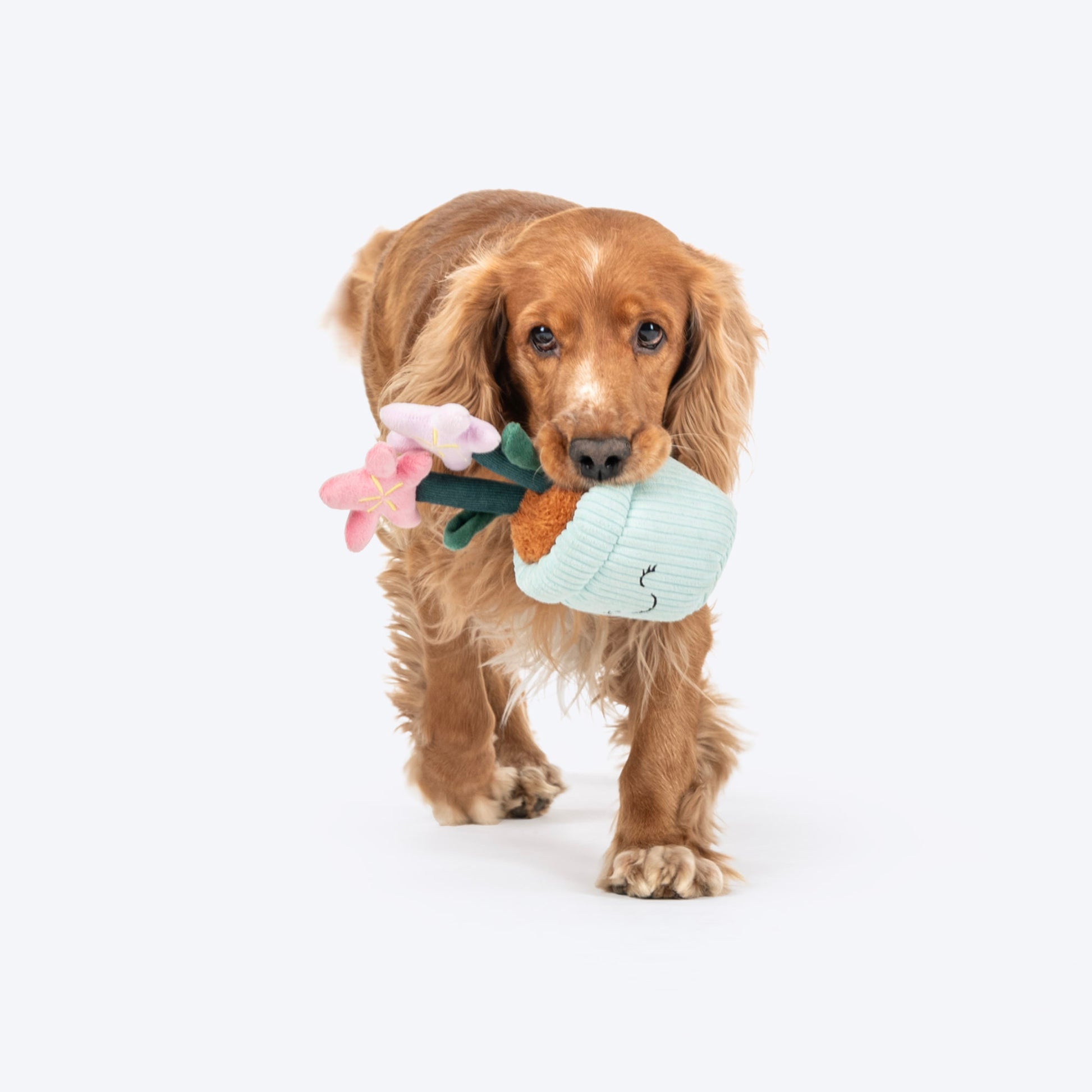 HUFT Star Power Squeaky Plush Toy For Dog - Multicolor - Heads Up For Tails