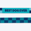 HUFT Frosted Checks Leash For Dog - Blue