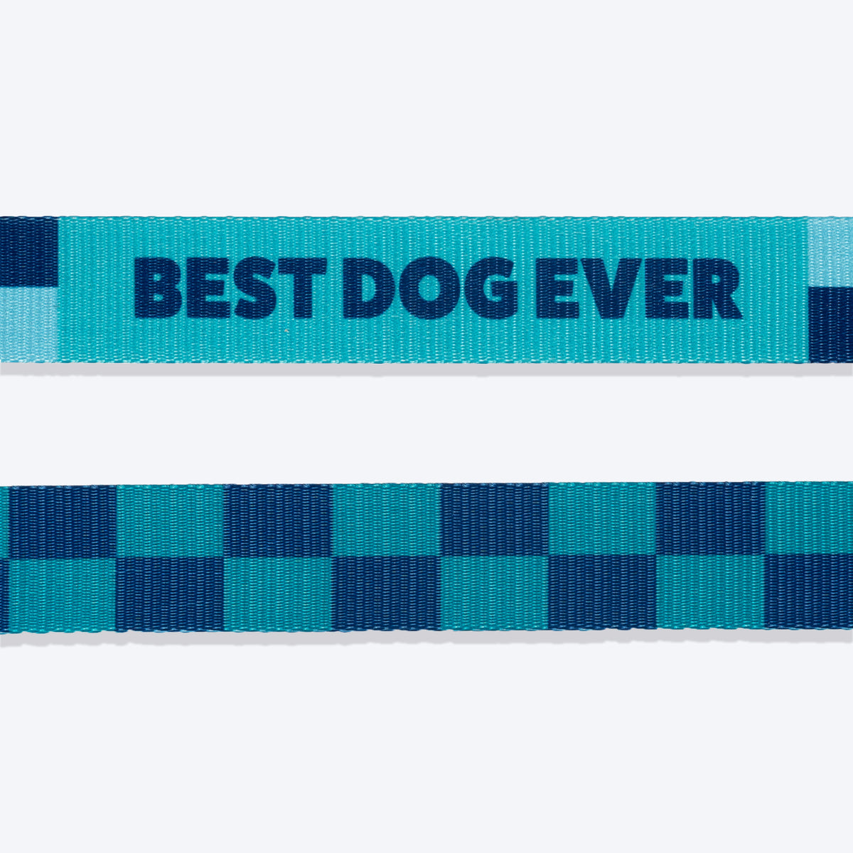 HUFT Frosted Checks Leash For Dog - Blue