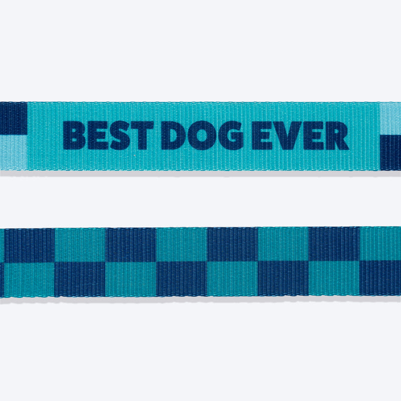 HUFT Frosted Checks Leash For Dog - Blue