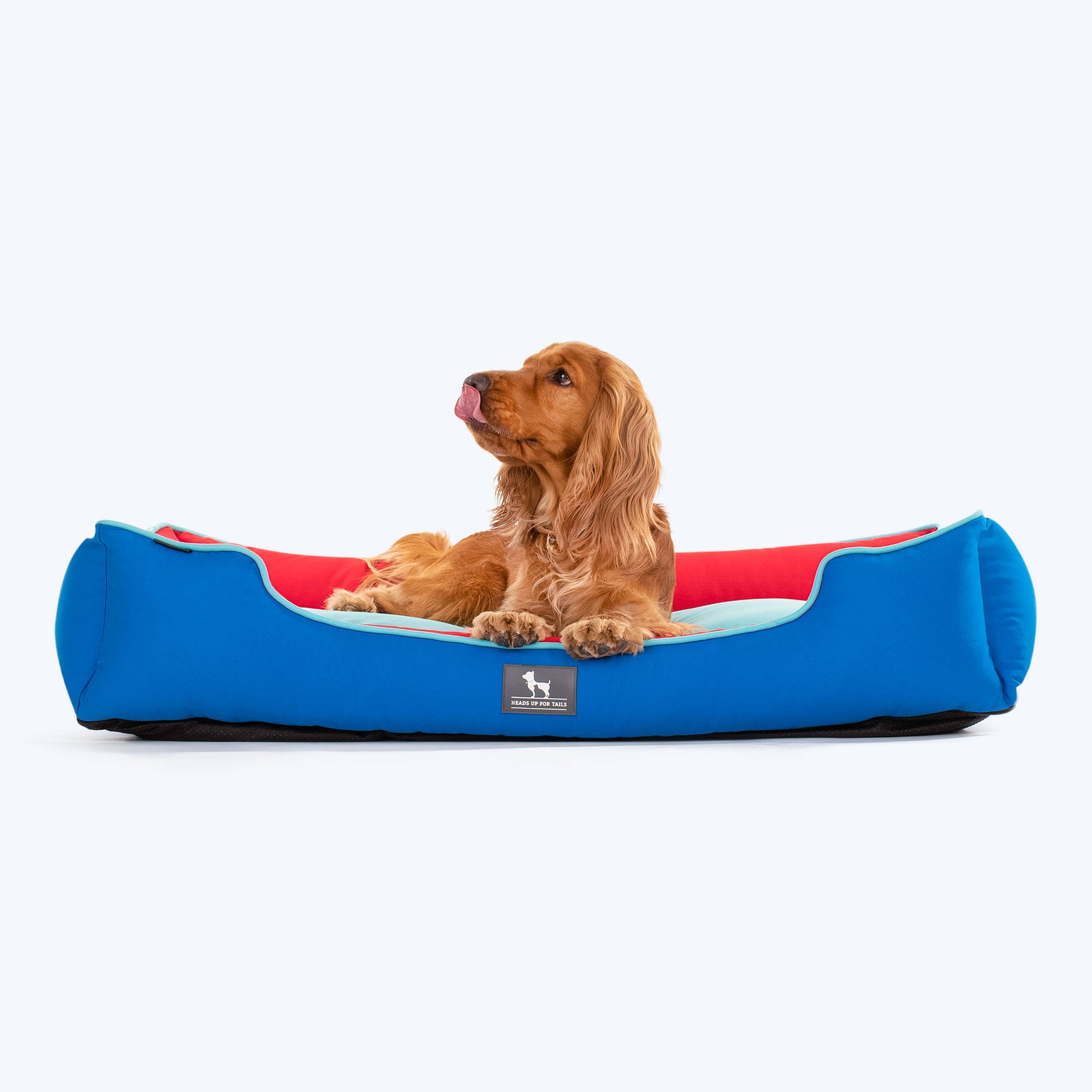 HUFT Classic Lounger Dog Bed - Red & Imperial Blue - Heads Up For Tails