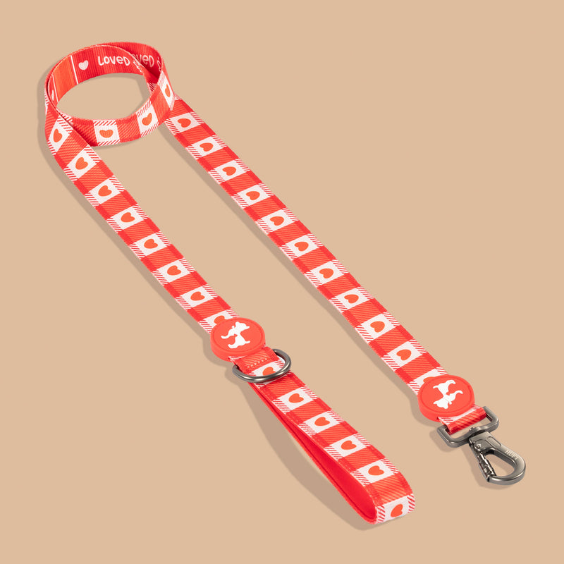 HUFT Berry Love Leash For Dog - Red