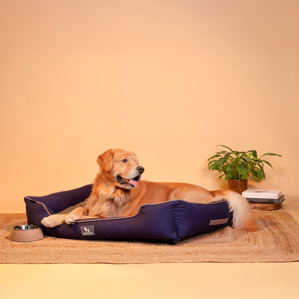 HUFT Classic Lounger Dog Bed - Grey & Navy - Heads Up For Tails