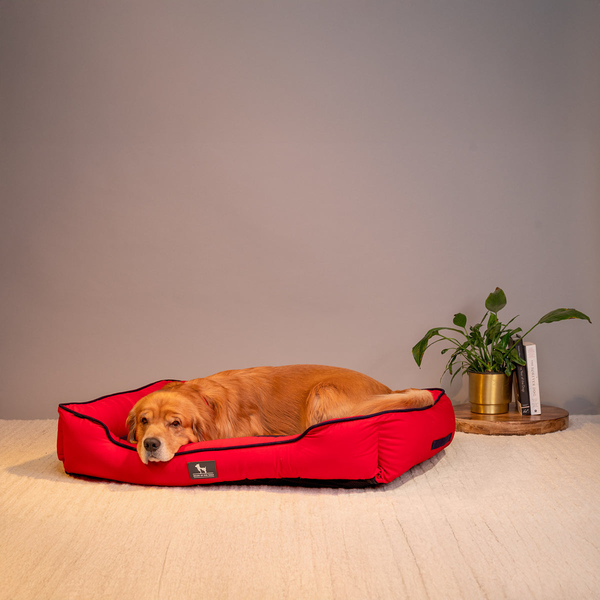 HUFT Classic Lounger Beds For Dogs - Red & Navy - Heads Up For Tails