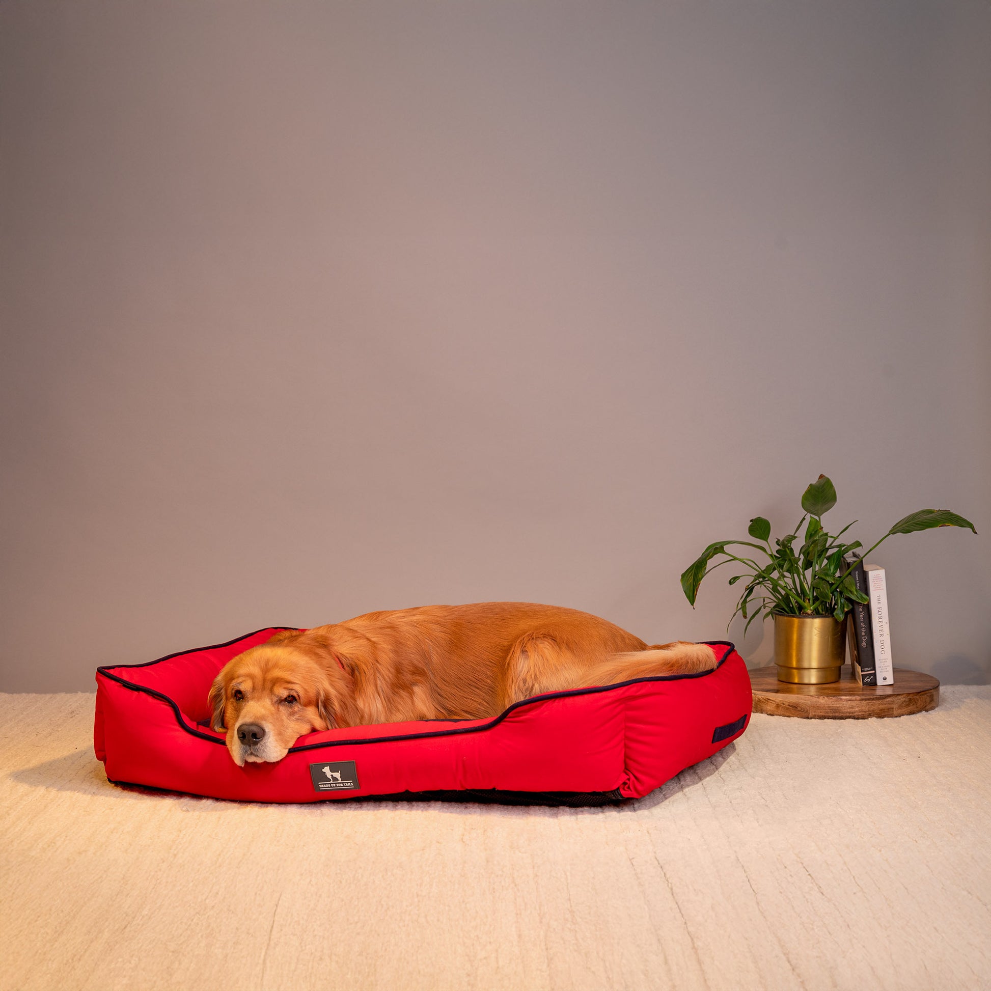HUFT Classic Lounger Beds For Dogs - Red & Navy - Heads Up For Tails