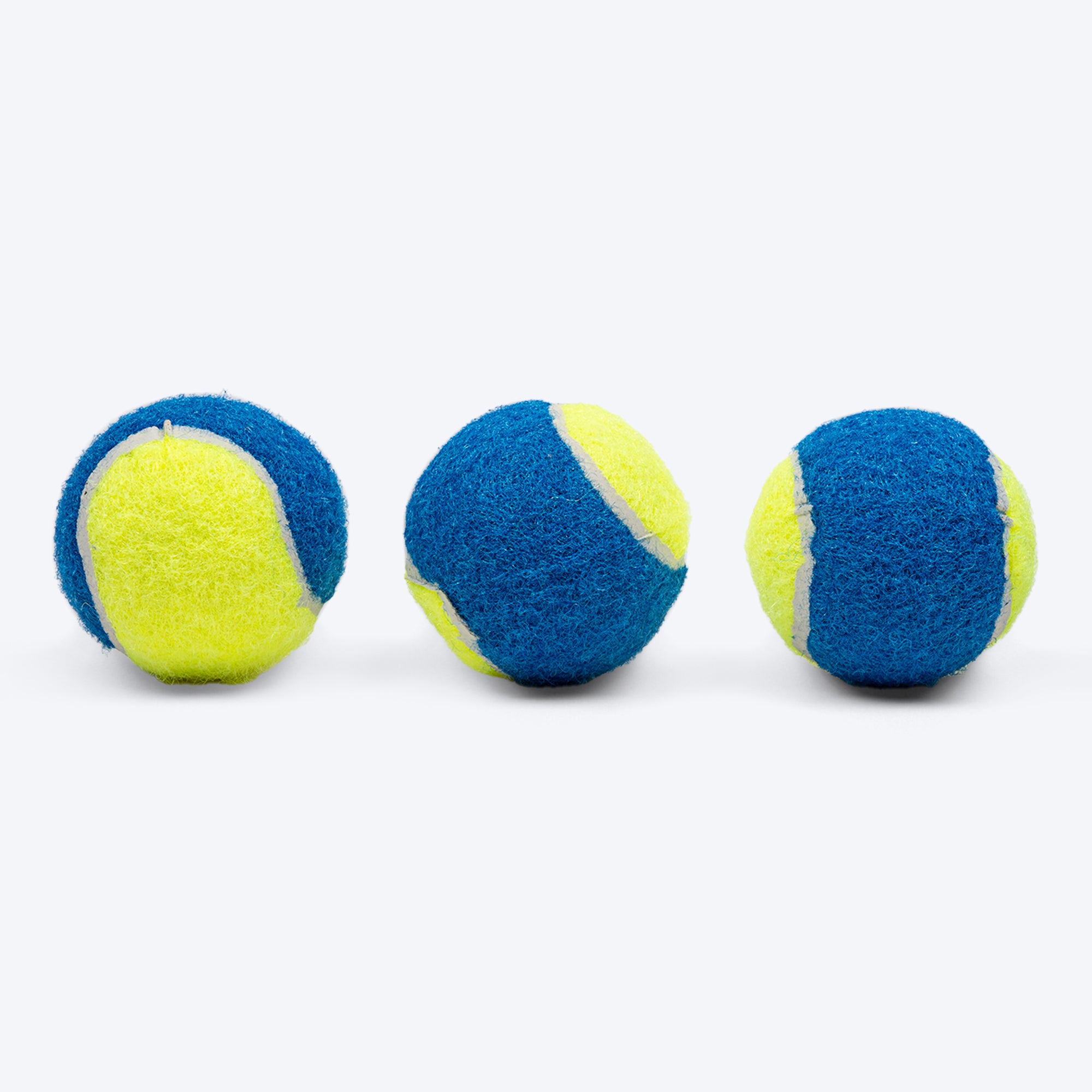 Squeaky tennis hot sale balls for dogs