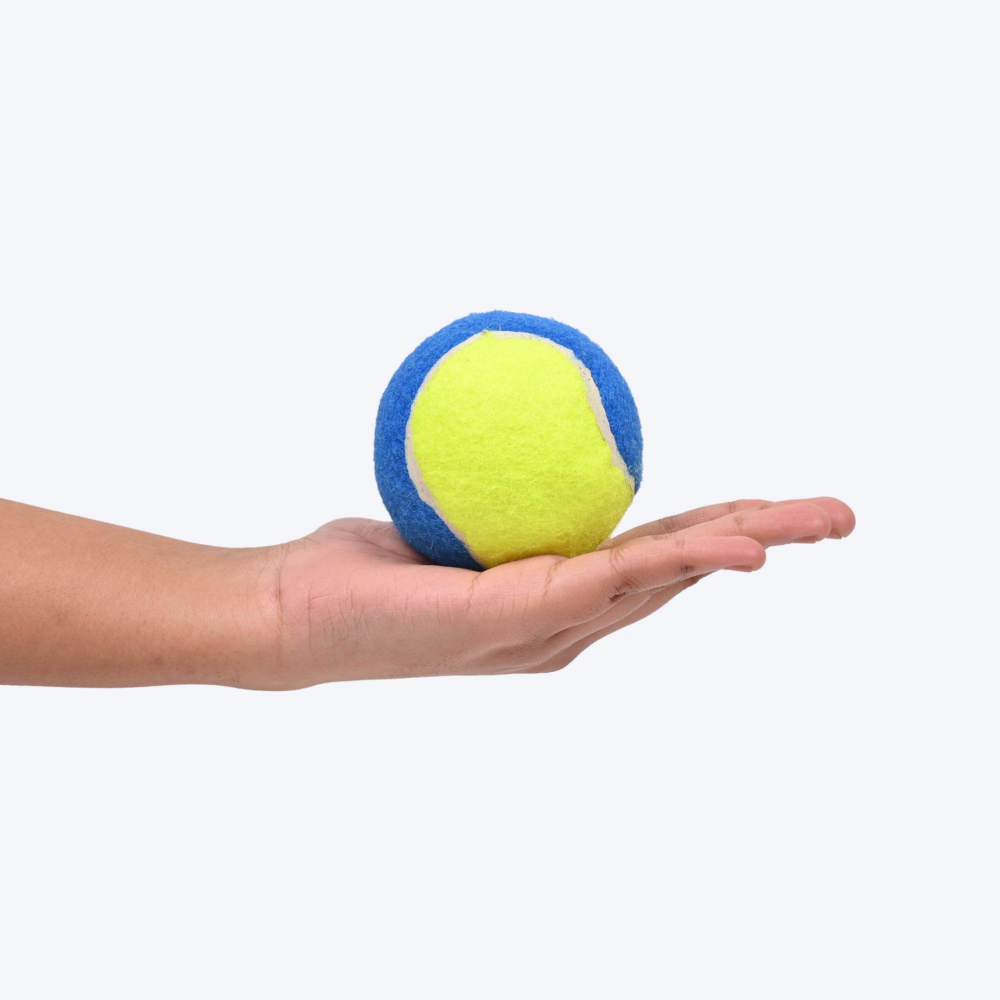 Blue tennis balls outlet for dogs