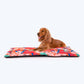 HUFT Petal Play Pet Mat - Orange_03