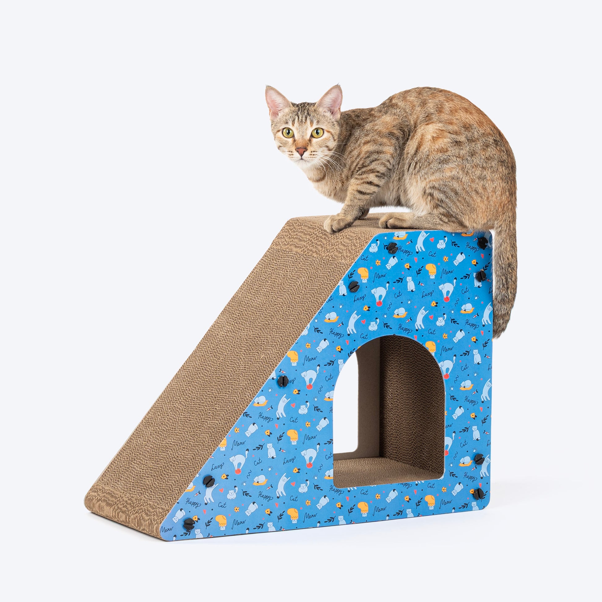 HUFT Whisker Hub Scratcher For Cat - Blue - Heads Up For Tails