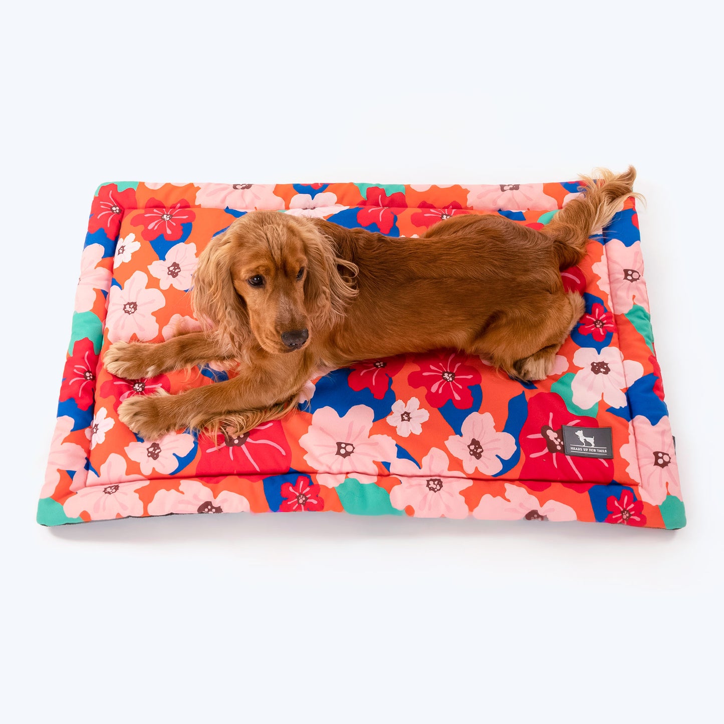 HUFT Petal Play Pet Mat - Orange_02