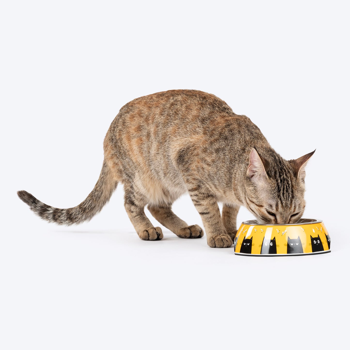 HUFT Buzz & Whiskers Printed Melamine Bowl With Steel Insert For Cat - Chrome Yellow - Heads Up For Tails
