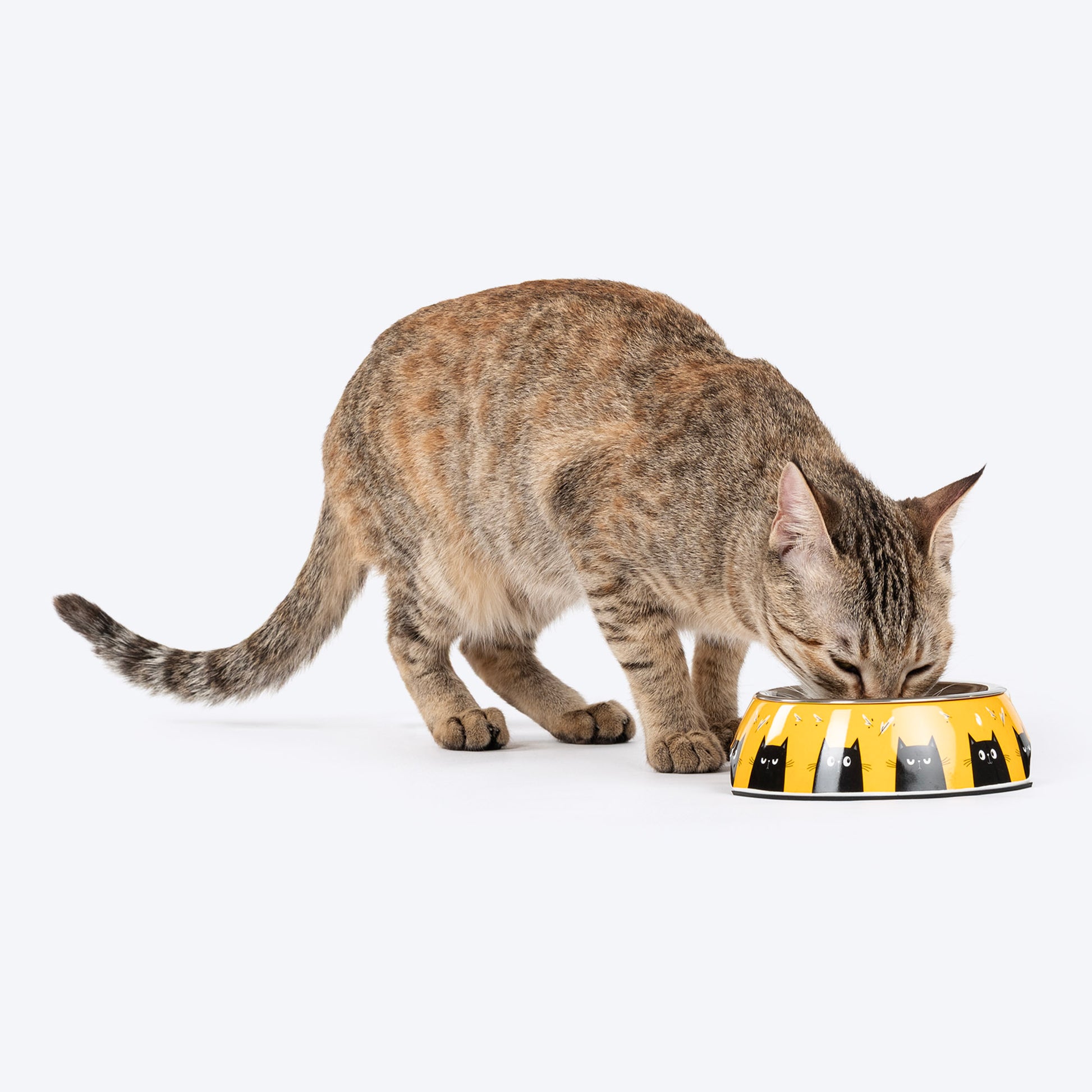 HUFT Buzz & Whiskers Printed Melamine Bowl With Steel Insert For Cat - Chrome Yellow - Heads Up For Tails