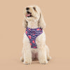 HUFT Midnight Meadow Adjustable Harness For Dog - Purple