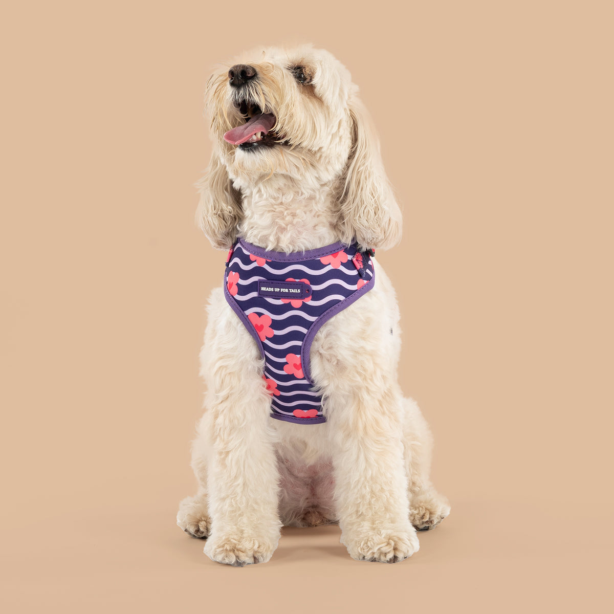 HUFT Midnight Meadow Adjustable Harness For Dog - Purple