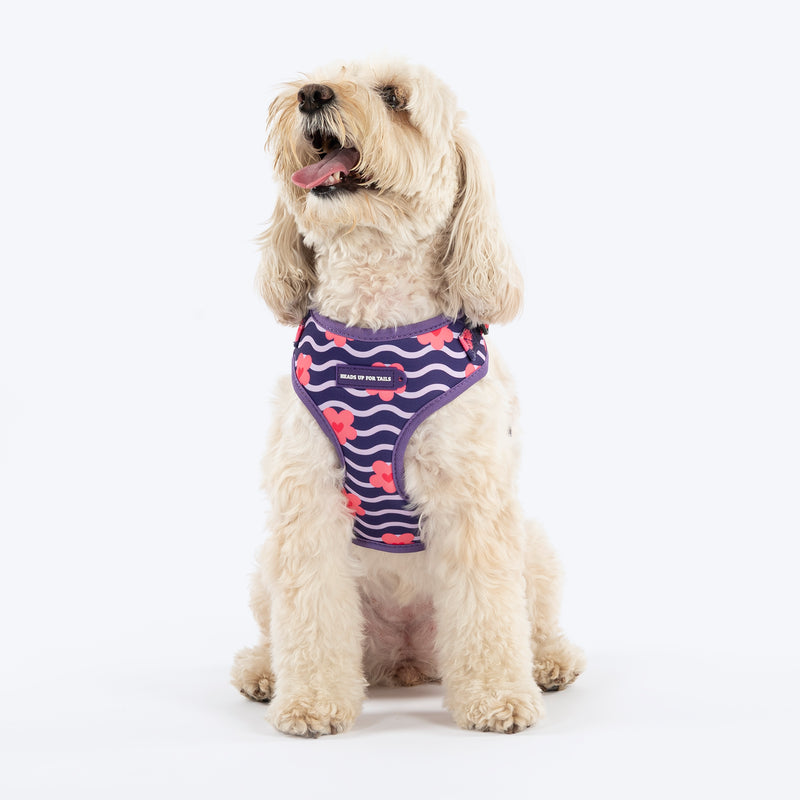 HUFT Midnight Meadow Adjustable Harness For Dog - Purple