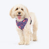 HUFT Midnight Meadow Adjustable Harness For Dog - Purple