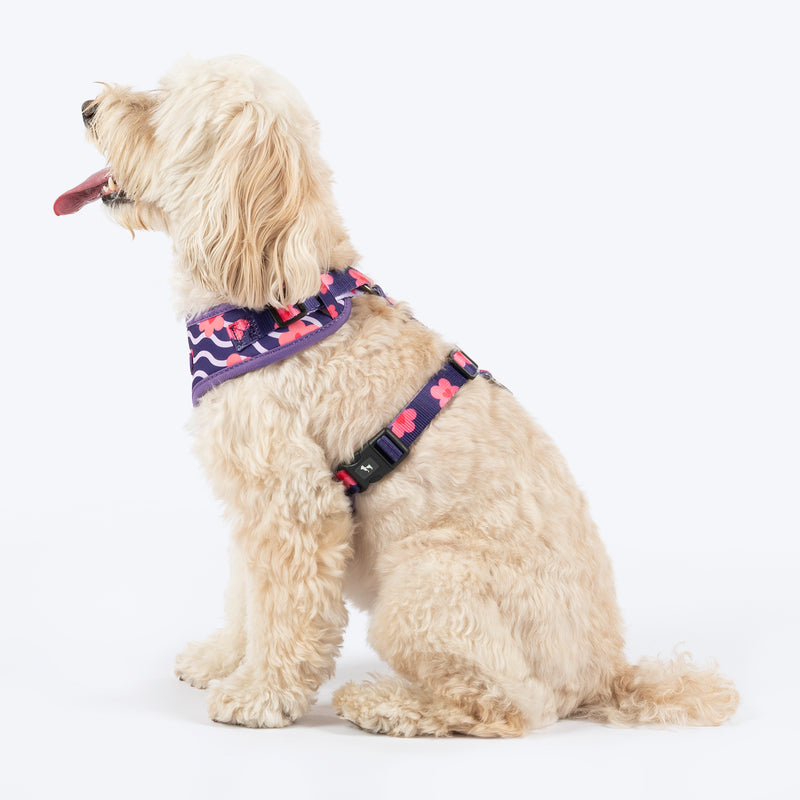HUFT Midnight Meadow Adjustable Harness For Dog - Purple
