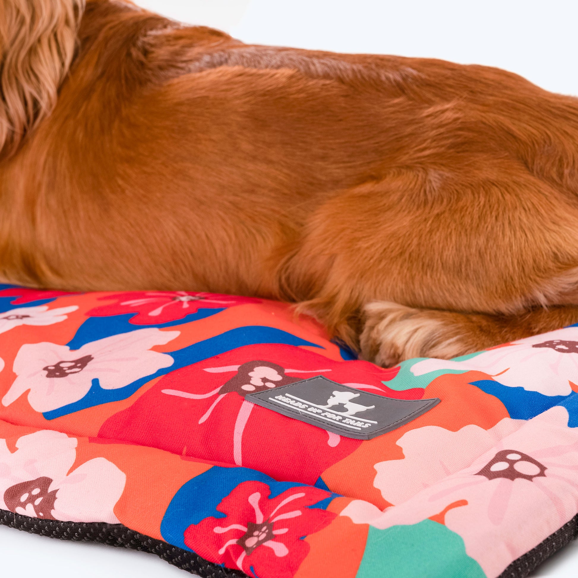 HUFT Petal Play Pet Mat - Orange_04