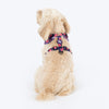HUFT Midnight Meadow Adjustable Harness For Dog - Purple