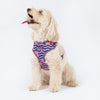 HUFT Midnight Meadow Adjustable Harness For Dog - Purple