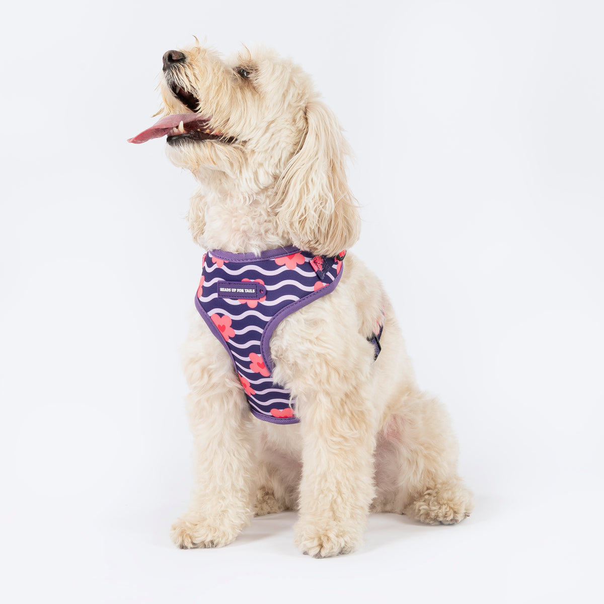 HUFT Midnight Meadow Adjustable Harness For Dog - Purple