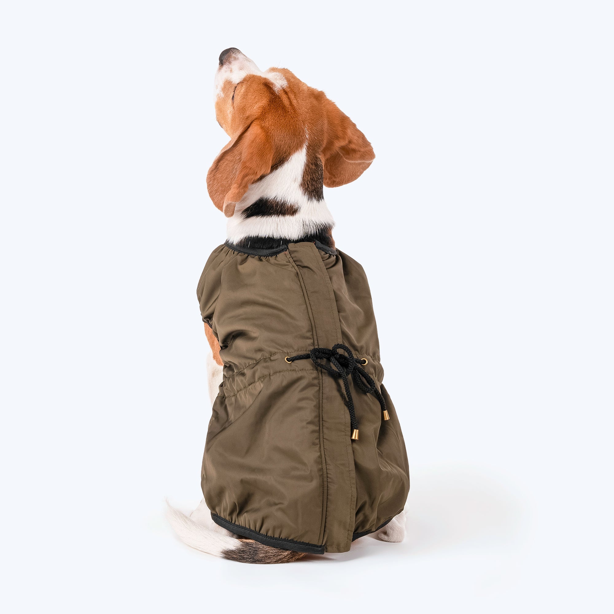 Reddy on sale dog raincoat