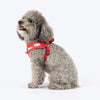 HUFT Free Flow Koko Koala Step In Harness & Leash Set For Dog - Red