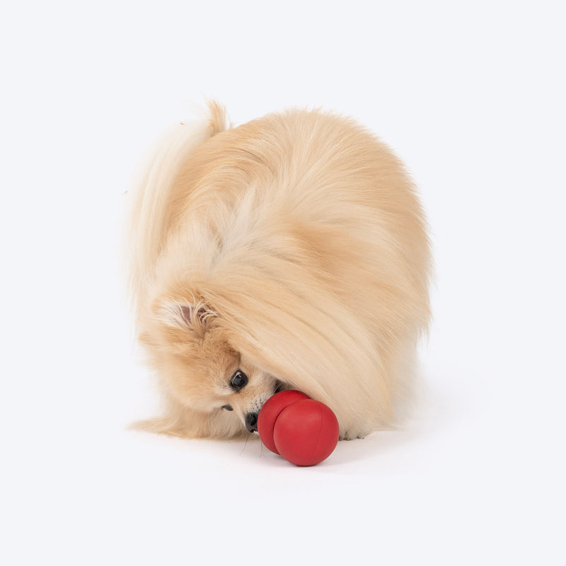 Dash Dog Twist 'n' Chew Toy For Dog - Red - Heads Up For Tails