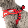 HUFT Free Flow Koko Koala Step In Harness & Leash Set For Dog - Red