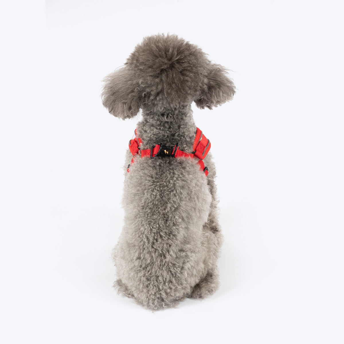 HUFT Free Flow Koko Koala Step In Harness & Leash Set For Dog - Red