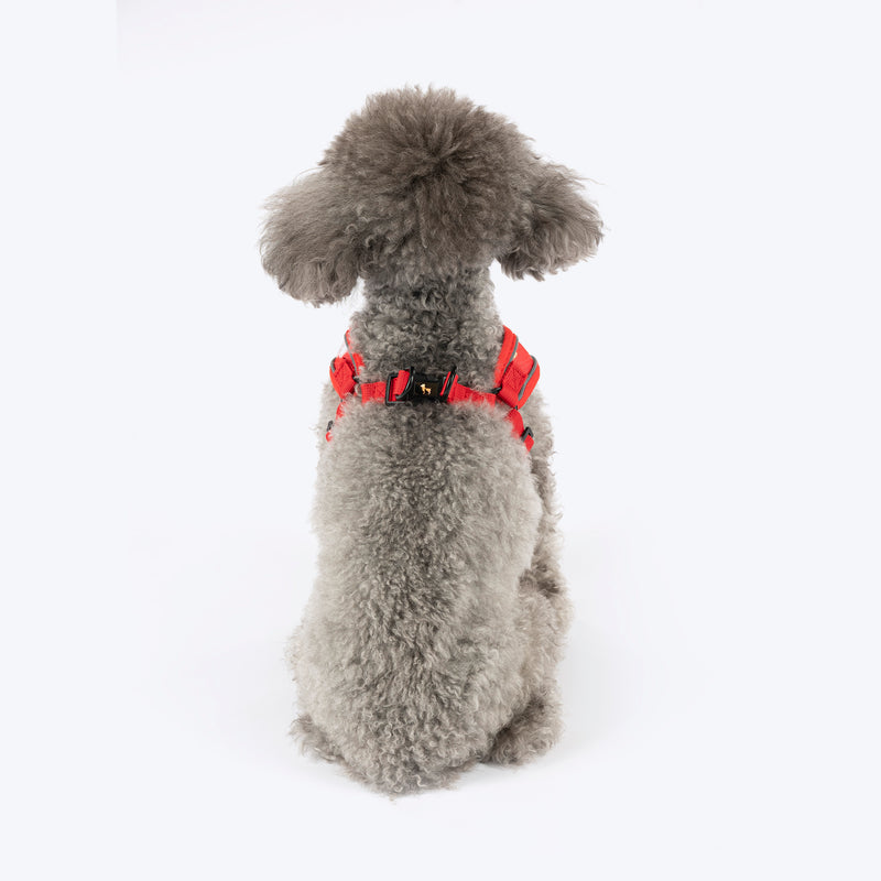 HUFT Free Flow Koko Koala Step In Harness & Leash Set For Dog - Red