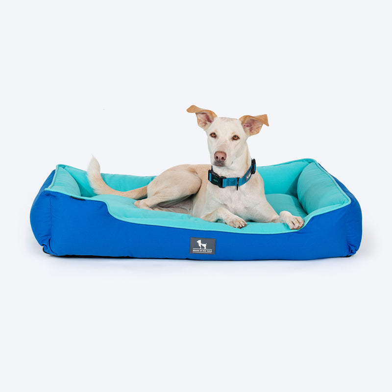 HUFT Classic Lounger Dog Bed - Blue & Turquoise - Heads Up For Tails