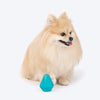 Dash Dog Crystal Treat Chew Toy For Dog - Teal - Heads Up For Tails