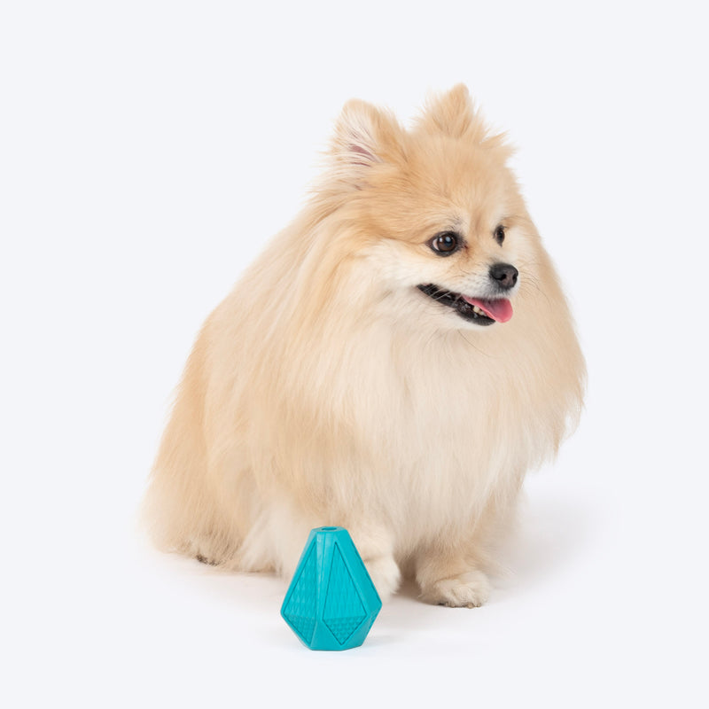 Dash Dog Crystal Treat Chew Toy For Dog - Teal - Heads Up For Tails