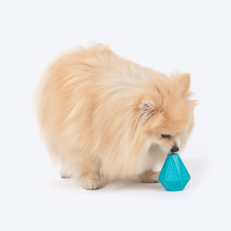 Dash Dog Crystal Treat Chew Toy For Dog - Teal - Heads Up For Tails