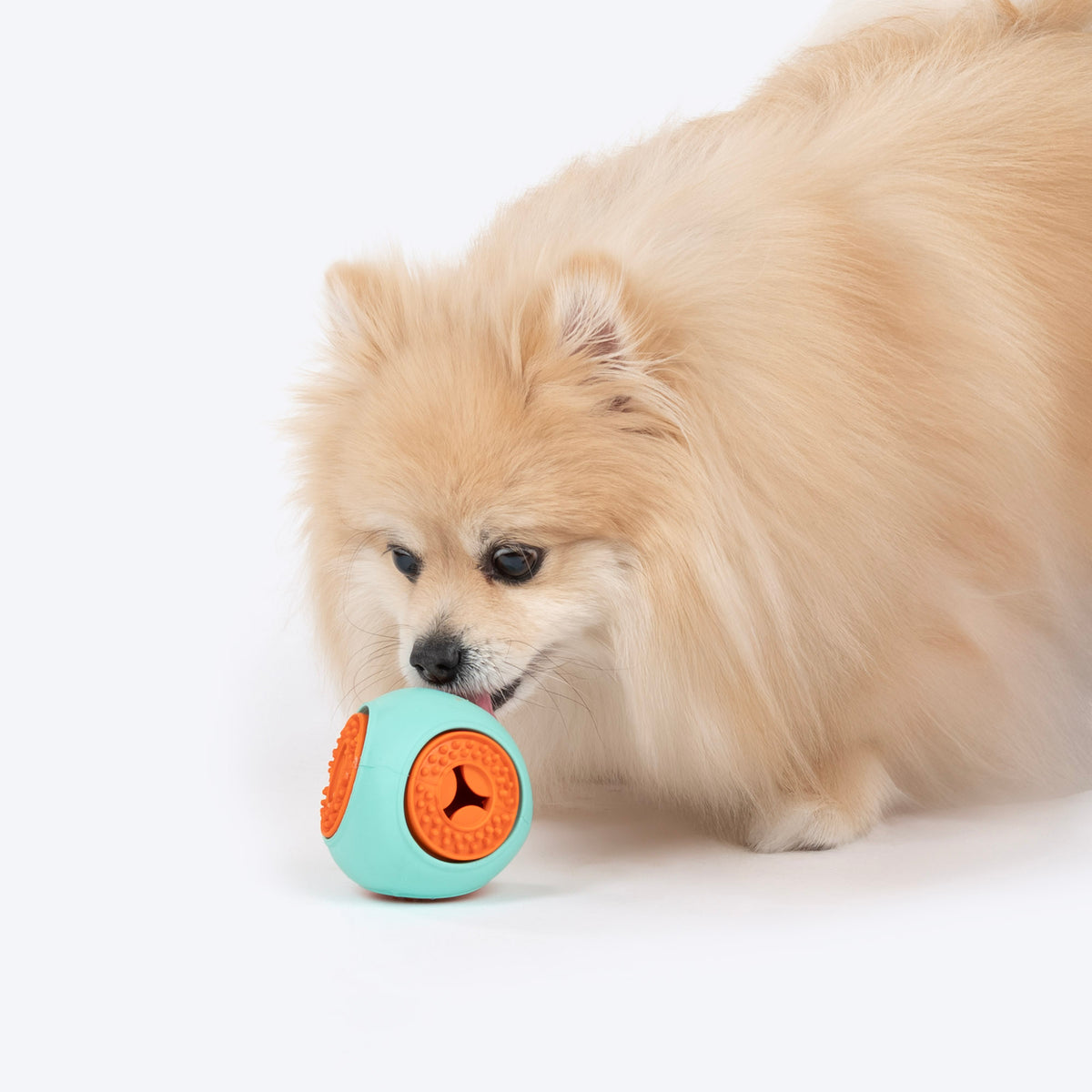 Dash Dog Quadrafun Chew Toy For Dog - Blue & Orange - Heads Up For Tails