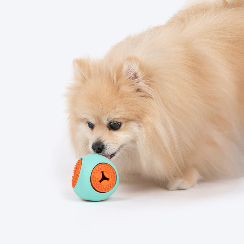 Dash Dog Quadrafun Chew Toy For Dog - Blue & Orange - Heads Up For Tails