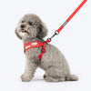 HUFT Free Flow Koko Koala Step In Harness & Leash Set For Dog - Red