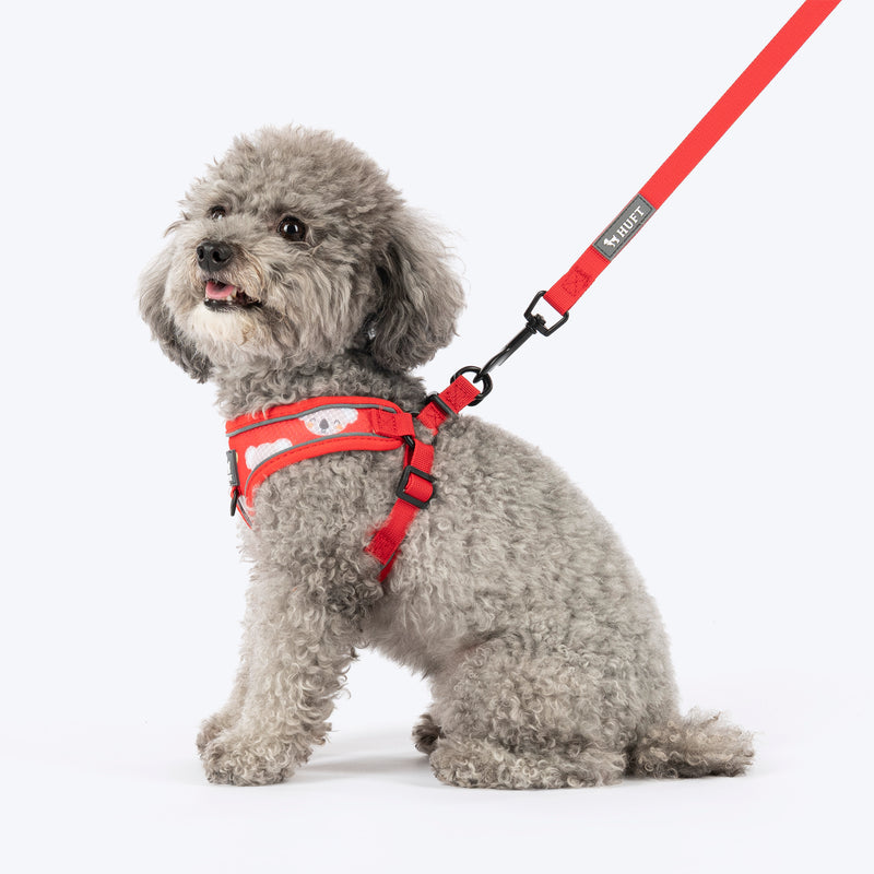 HUFT Free Flow Koko Koala Step In Harness & Leash Set For Dog - Red