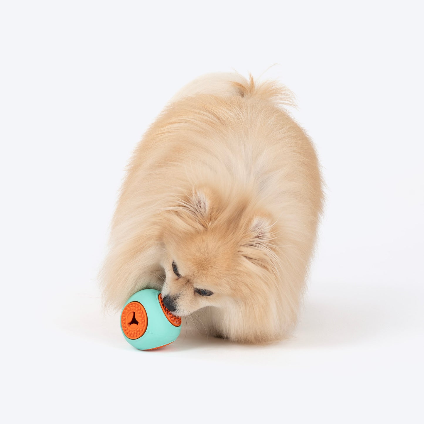 Dash Dog Quadrafun Chew Toy For Dog - Blue & Orange - Heads Up For Tails