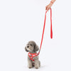 HUFT Free Flow Koko Koala Step In Harness & Leash Set For Dog - Red