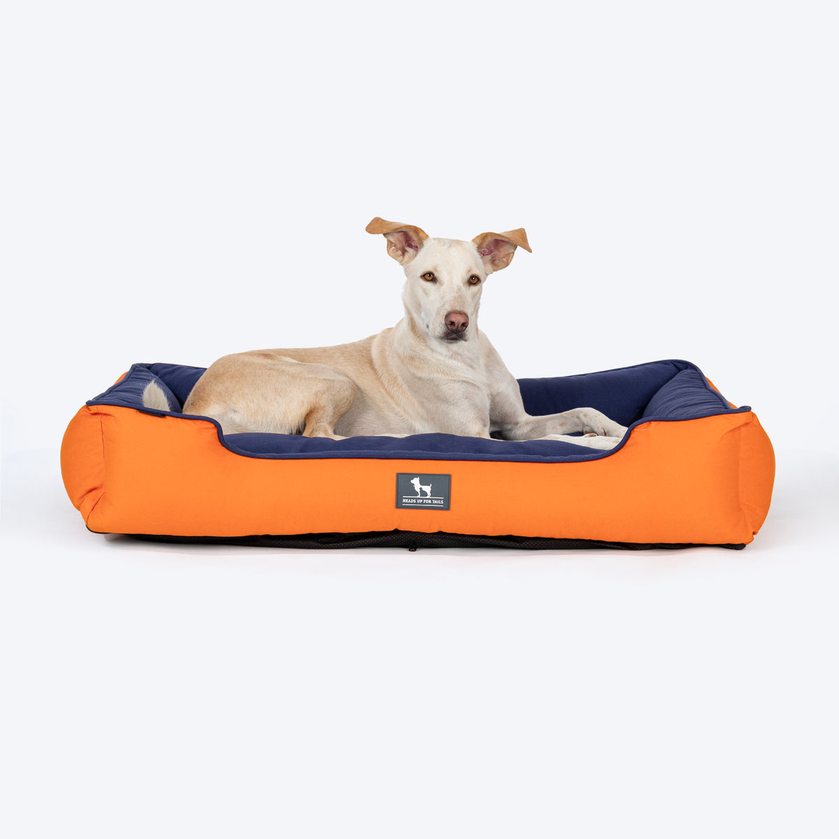 HUFT Classic Lounger Dog Bed - Orange & Blue - Heads Up For Tails