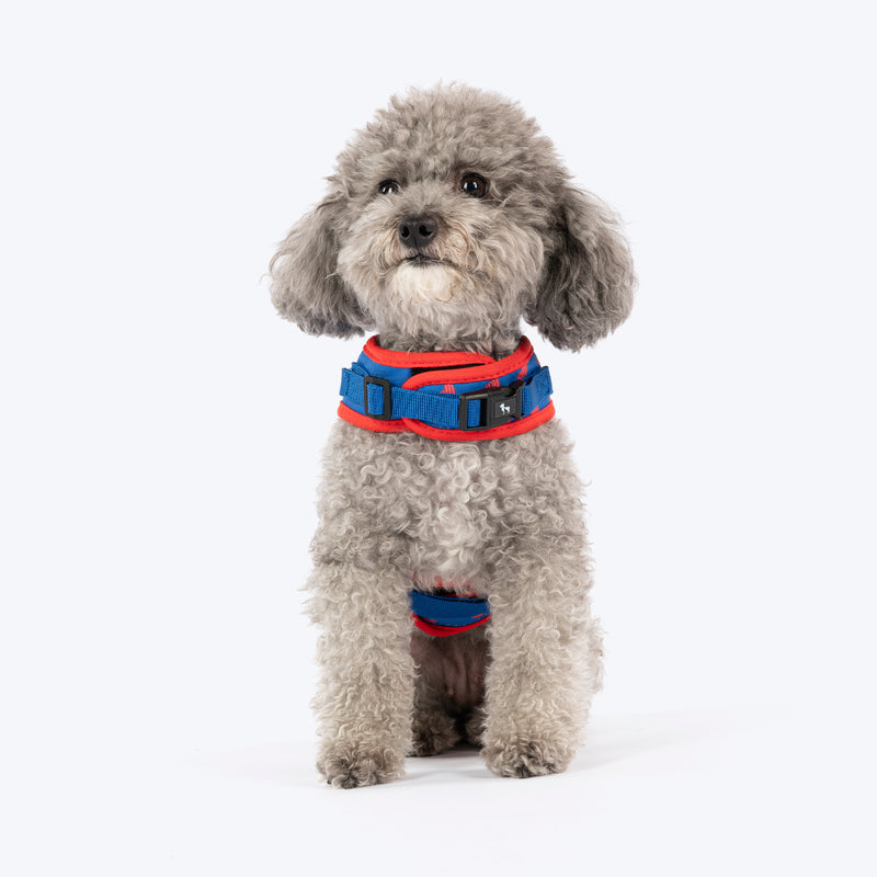 HUFT Slip & Stroll Heart Parade Harness & Leash Set For Dog - Blue