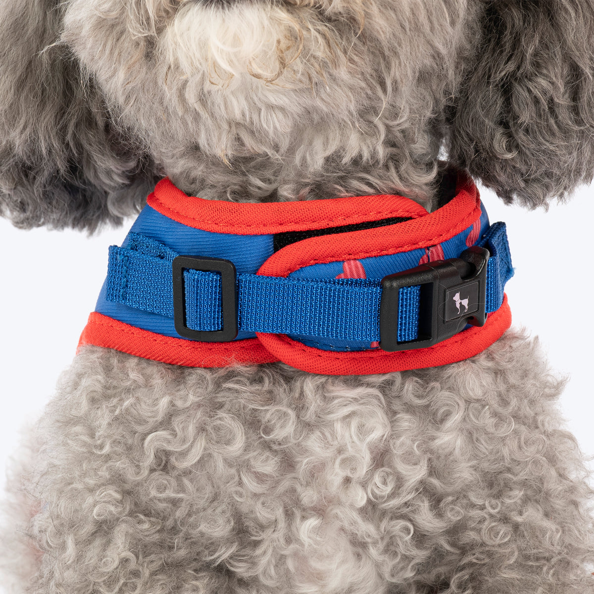 HUFT Slip & Stroll Heart Parade Harness & Leash Set For Dog - Blue